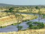 River Ewaso Ngiro  Samburu NR  Kenya