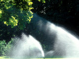 Sprinklers at Bagatelle Near Paris  France