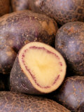 Potato Solanum Tuberosum "Shetland Black"