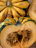 Squash 