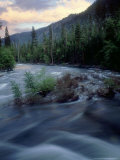 Rapids at Sunset  Kings Canyon National Park  California  USA