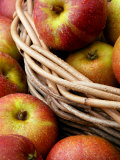 Cox's Apples  Apples in Basket