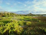 Coast of Santiago  Santiago  Galapagos