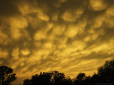 Mammatiform Clouds  Sarasota County  USA