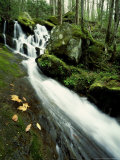 Waterfall  Great Smoky Mtn National Park  TN