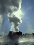 Castle Geyser at Old Faithful Geyser Basin  Wyoming  USA