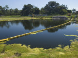 Floating Yellow Barriers in Borrow Pit Pond Control Runoff of Construction Site  Sarasota  Florida