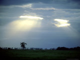 Landscape  Kenya