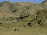 Desert-Dwelling Elephant  Mother and Calf in Desert  Hoanib River Valley