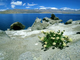 Lake Karakul  Russia