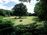 Hay Bales  UK