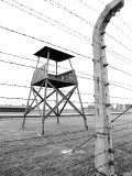Electric Fence and Lookout Tower  Auschwitz  Poland
