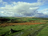 Dartmoor  Devon