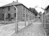 View Between Fencing to Prisoner Block  Auschwitz  Poland