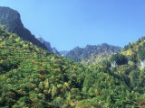 Autumn Colours in Hodaka Mountains  Japan