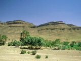Oasis  Morocco