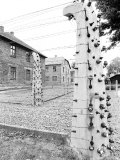 Concrete Post with Electric Fencing  Auschwitz  Poland