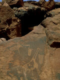 Rock Engravings  Namibia