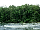 Rio Platano  Honduras