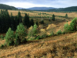 Grassland and Mountains  Czech Republic