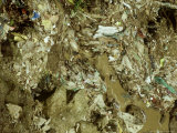 Polluted Stream  Darjeeling  India