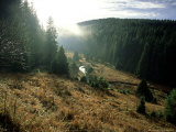 Valley of a Small River  Czech Republic