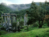 Greek Temple of Euromos Amidst Intact Mediterranean Landscape with Olive Trees  W Turkey