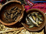 Fish  Uros Islands  Peru