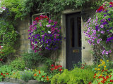 Country Cottages  England