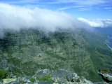 Cloud Formation Over Table Mountain with Rock Hyrax in Foreground  South Africa