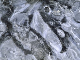 Air Bubbles in Ice