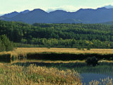 Potter Marsh  Alaska