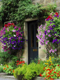 Country Cottages