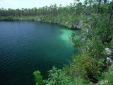 Inland Blue Hole  Bahamas