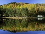 Loch an Eilein in Autumn  Larch & Scots Pine & Reflections  Cairngorms National Park  Scotland