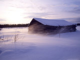 Barn and Snow in the Wind  Northeast Finland