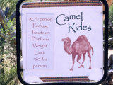 Camel Ride Tours Sign  USA