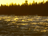 River and Rapids at Dusk  Northeast Finland