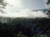 Mulu National Park  Borneo  Weather Time-Lapse  8Am