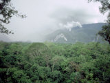 Mulu National Park  Borneo  Weather Time-Lapse  4Pm