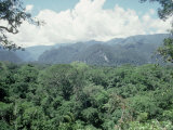 Mulu National Park  Borneo  Weather Time-Lapse  1145 AM