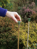Putting Safety Caps on Garden Canes