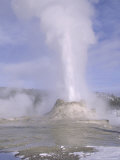 Castle Geyser  Yellowstone National Park  USA