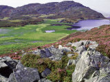 Heather Covered Slopes Overlooking Gloywlyn in Rhinog Mountains  North Wales