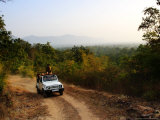 Tiger Tourism  Jeep Travelling with Forest of Bandhavgarh in Background  Madhya Pradesh  India