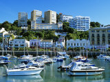 Torquay Harbour  England