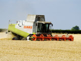 Combine Harvester  England
