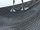 Coot  Abstract of a Coots Legs Perched on Plastic Mesh  London  UK