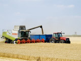 Combine Harvester Unloading Grain into Trailer  England