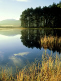 Loch Garten  Strathspey  Scotland
